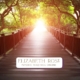 A wooden bridge with a light at the end symbolising life path decisions