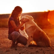 a woman in the sunset petting her dog