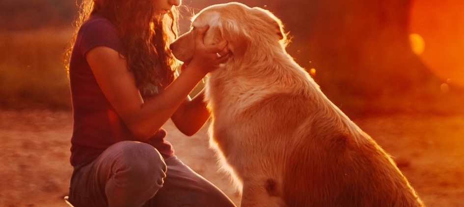 a woman in the sunset petting her dog